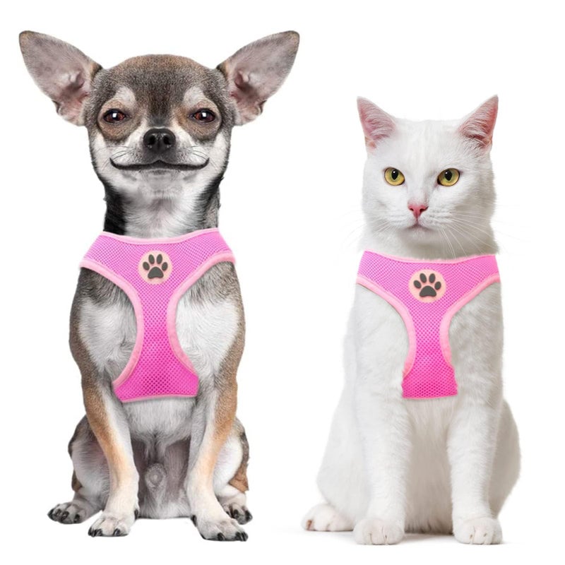 BINGPET Small Dog Harness - Breathable Mesh Puppy Cat Harnesses - No Pull Adjustable Dog Harness Dog Vest Harness for Small and Medium Dogs - Image 1
